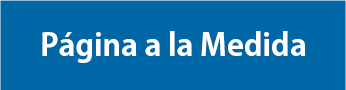 pagina web a la medida